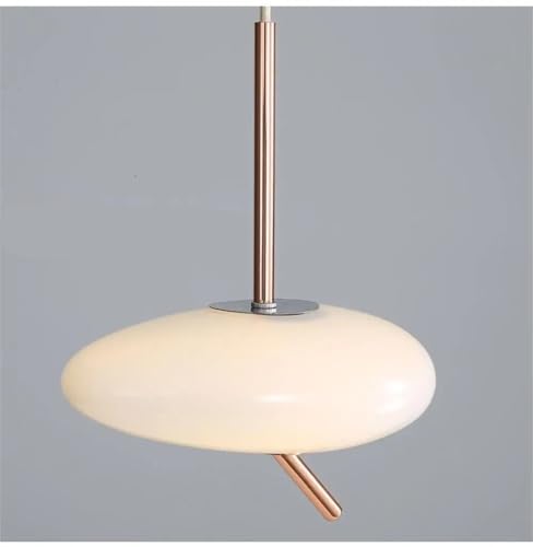 Lustre pour café-bar et chambre cherchant un éclairage unique LED