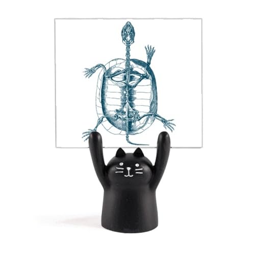 Support de mémo squelette tortue chat noir pour déco gothique