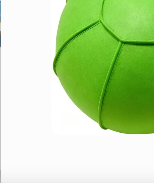 BabieDtOyG Herding Ball