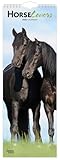 Horse Lovers | 2026 5.7 x 16.5 Inch (Hanging) Monthly Slimline Wall Calendar | BrownTrout | Animals Equestrian