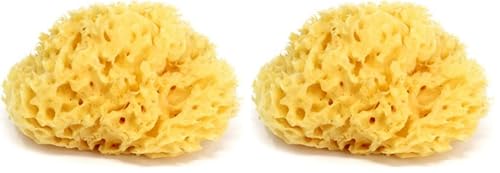 OKBABY - Arcipelago - Eponge Naturelle de la Mediterranée pour le Bain du Nouveau-né - Taille 10 (Lot de 2)