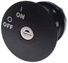 Buggies Unlimited EZGO RXV Gas Ignition Switch (Fits 2008-Up)