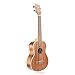 Hricane Concert Ukulele 23 inch UKS-2, 4 Strings Ukeleles For Beginners, Sapele Hawaiian Ukele with Ukulele Case and Ukele String Set (Concert Sapele)
