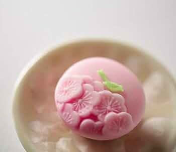 31woqhkpKnL._AC_UF350,