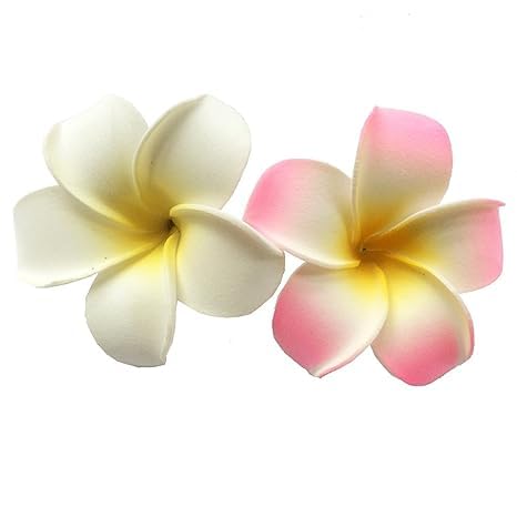 2 pinzas para el pelo hawaianas Frangipani Plumeria, cabeza de espuma, 2.8 in, color blanco y rosa