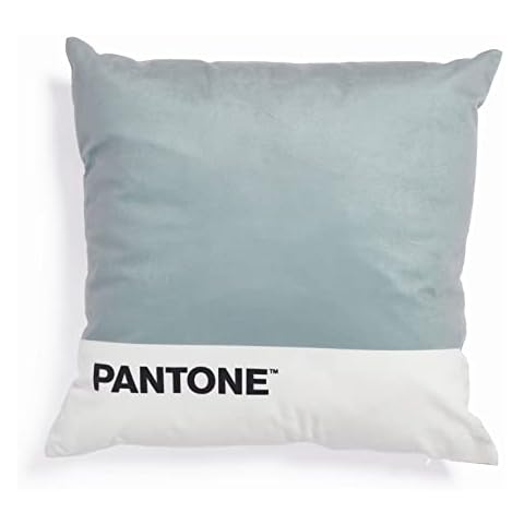 Coussin SWEET HOME Pantone™ 45x45 cm Cover