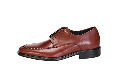 Neil M President Oxford2