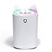 Tanglin, umidificatore da 3 l, per camera da letto, casa, grande stanza, intera casa, cameretta dei bambini, ufficio, umidificatore per piante per interni, funzionamento silenzioso (bianco)