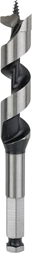 Bosch Accessories Professional Holzschlangenbohrer mit 1/4'-Sechskantschaft (Ø 20 mm), Durchmesser: 20/Gesamtlänge in mm: 160