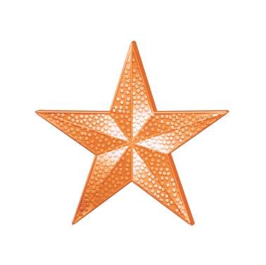 Bronze Star Lapel Pins - 1