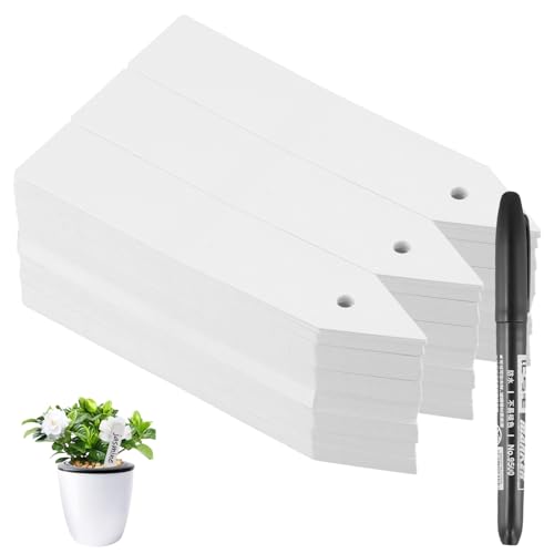 Granvoo 300 Piezas Etiquetas Plantas Plastico, 2 x 10 cm Etiquetas de Plantas Etiqueta de Jardinería Planta Marcadores, Marcadores de Jardín Reutilizable para Semillero, Semillas, Plantas e Hierbas