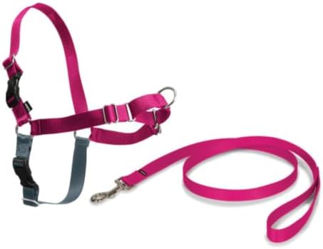 PetSafe Easy Walk - Arnés Antitirones para Perros, 4 Puntos de Aj...