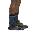 Darn Tough Men's Heady Stripe Micro Crew Light Cushion Sock (Style 1924) - - Image 3