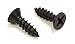 #6 X 1/2'' Black Oxide Coated Stainless Flat Head Phillips Wood Screw, (25 pc), 18-8 (304) Stainless Steel Screw by Bolt Dropper