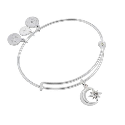 Alex and Ani Star and Moon Charm Bangle