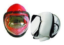 Playwell Kudo Full Face Weapons Full contact Head Guard - SR