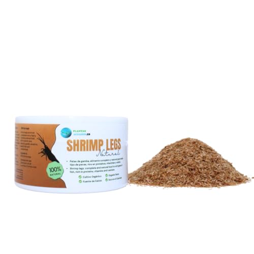 Acuarios Pequeños Agua Fria Marca PlantasAcuario