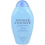 Shower to Shower, Absorbent Body Powder Morning Fresh, 13 oz