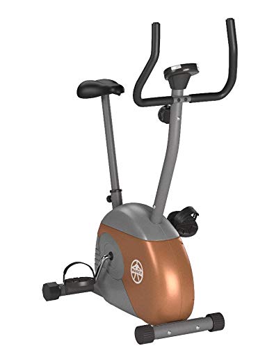 7 BEST Schwinn Upright Series Bike – 170 model 2020 08 Sep - Exercise