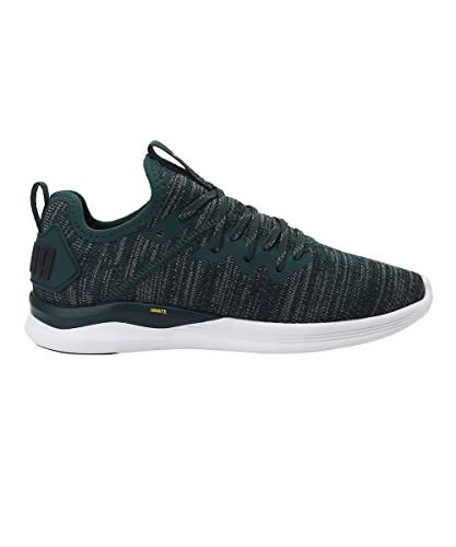 Image of Puma Unisex Kid Ignite Flash Evoknit PS Sneaker