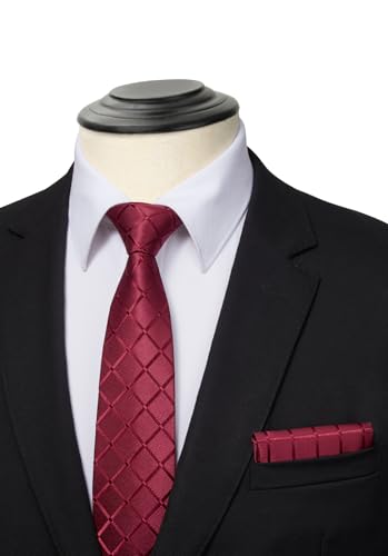 Image of HISDERN Mens Ties and Pocket Square Set Business Elegant Ties for Men Classic Lot 3 Pcs Wedding Party Neckties & Handkerchief