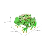 Zoom IMG-1 amosfun modello dissezione della rana Zoom IMG-1 amosfun modello dissezione della rana