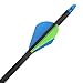Razor RZ600 Archery Carbon Arrows, 31-Inch by Allen, 3 Pack, Gray