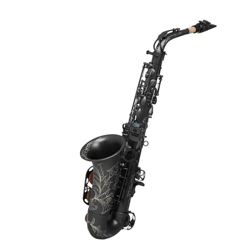 TbNX ubNjbPbL̃AgTbNXAEǁA^JVFL[AXgbvAN[jONXA[hANZT[t