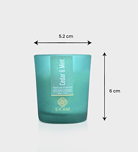 Image of EKAM Cedar & Mint Votive Soy Wax Scented Candle, 40 Grams, 10 Hours Burn Time| Long Lasting Premium Candles | Ideal for Home Decor | Gifting & Aromatherapy (Pack of 12)