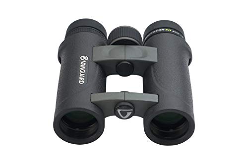 Vanguard Endeavor ED 8x32 Binoculares con vidrio ED miniatura 3