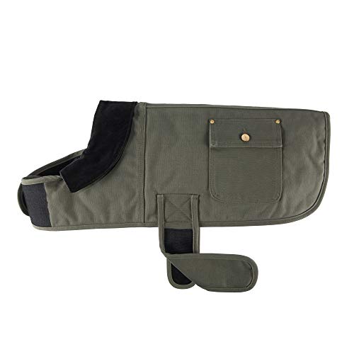 Carhartt Firm Duck Isolierter Hundemantel, Armeegrün/Messing, Größe M