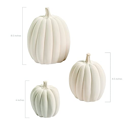 Fun Express DIY White Pumpkins for Decorating - Create Your Own Halloween Decor with 3 Different Sizes White Faux Pumpkins - Versatile Artificial Pumpkin for Fall & Halloween - Durable & Kid-Friendly