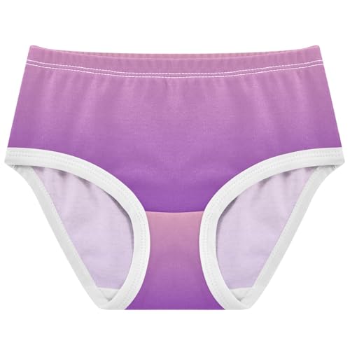 Joisal Blush Pink Purple Gradient Toddlers Underwear Floral 2t Cotton Panties Little Girl Cartoon Briefs Undies Kids