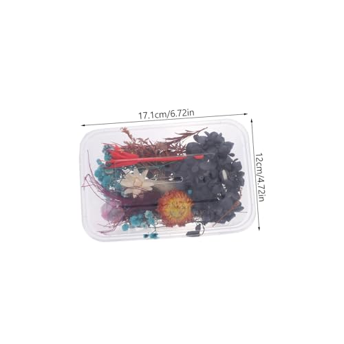 Mini flores secas prensadas delicadas para manualidades y decoración miniatura 3