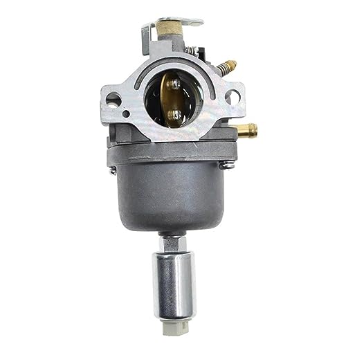 Carburateur Briggs Stratton 793224 évite les fuites d'essence de tracteur tondeuse