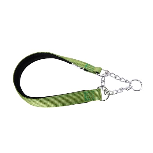 Ferplast Collare Cane Semistrozzo, in Nylon, Imbottito, Anti-trazione, per Addestramento Cani, Taglia M (Circonferenza Collo 33-45 cm), Verde.
