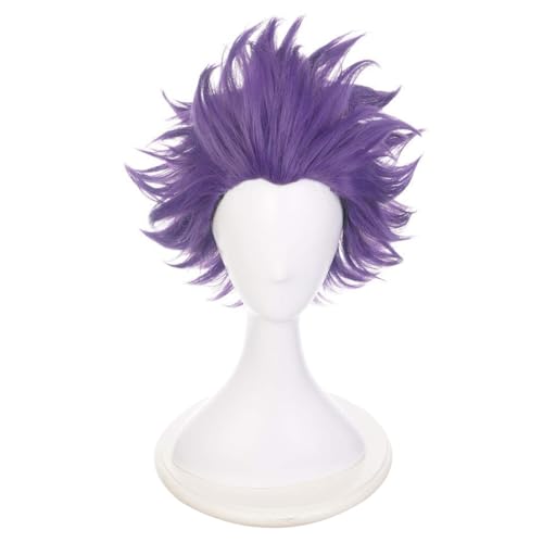 ZGNGLIZ Anime Cosplay Wig Short Purple Synthetic Hair for Men Anime Convention and Halloween Party with Free Wig Cap