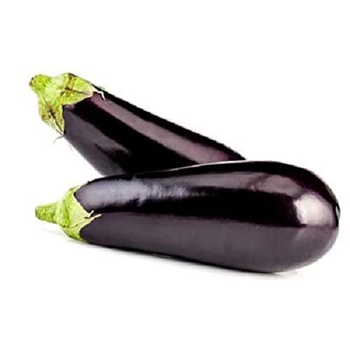 Aubergine - Le lot de 2