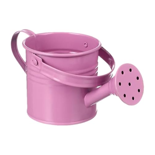 Wiring Can Outdoor - Can de Agua para Plantas de casa y jardín | Bañeras, macetas y cestas Colgantes de latas de riego Ligero, contenedor de Flores con asa para el jardín del gi