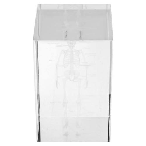 Modèle anatomique en cristal 3D un cadeau idéal pour étudiant en médecine et médecin