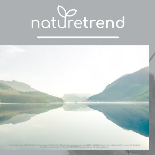 naturetrend Zeolith Pulver 1,3kg - Naturrein mit 94% in Premium-Qualität - Extra fein gemahlen, Reines & naturbelassenes Vulkangestein