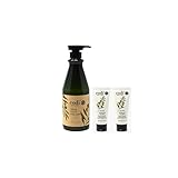 CodiNCodi Hand & Body Lotion – Olive 750 ml Bottle and 2 Tubes – Professional Size Moisturizer with Natural Extracts – Hydrating, Non-Greasy Formula for All Skin Types
