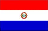 bandera paraguay Acabados : Costuras individual y bordes reforzados