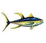Yellowfin Tuna - 12' Vinyl Sticker Waterproof Decal