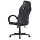 One Living Storm – Ergonomischer Gaming-Stuhl im Racing-Design mit Höhenverstellung, festen Armlehnen, 360°-Drehfunktion, Lendenwirbelstütze und Komfort für Gamer und Büro (Schwarz)