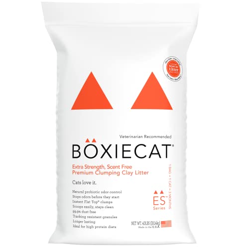 Boxiecat Extra Strength Premium Clumping Cat Litter - Clay Formula - Scent Free Multicat - Ultra Clean Litter Box, Probiotic Powered Odor Control, Hard Clumping Litter, 99.9% Dust Free, Orange, 40 lb