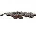 Dark Chocolate Covered Raisins, Bulk Chocolate Covered Plump Candy Raisins by Queen City Candy Cave (1 Pound)