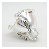 Tolle Alternative LOWBDGFU Projektorlampe for Toshiba TDP-D1 TDP-D2