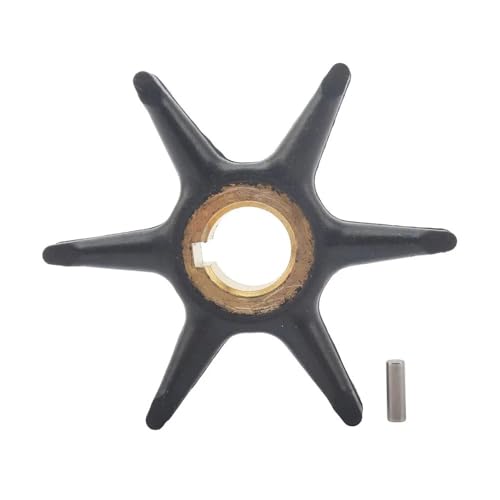 Clé de turbine de pompe à eau pour l'entretien annuel des moteurs 10 CV