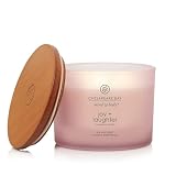 Chesapeake Bay Candle Scented Candle Joy + Laughter (Cranberry Dahlia) Coffee Table Home Décor